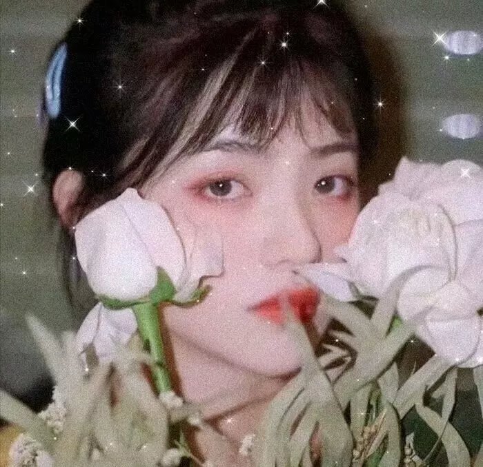星愿国语 在线观看